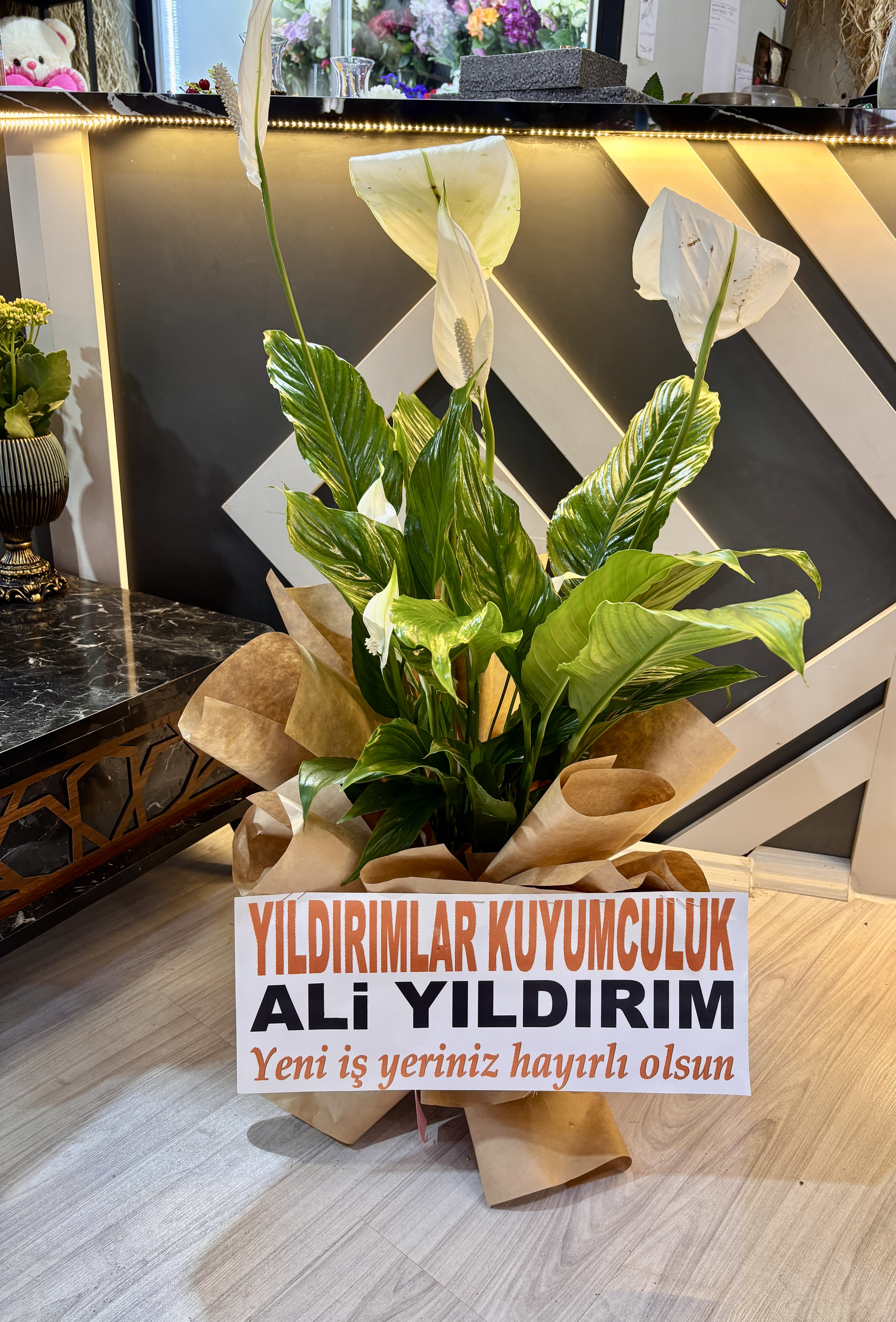 Spatfilyum