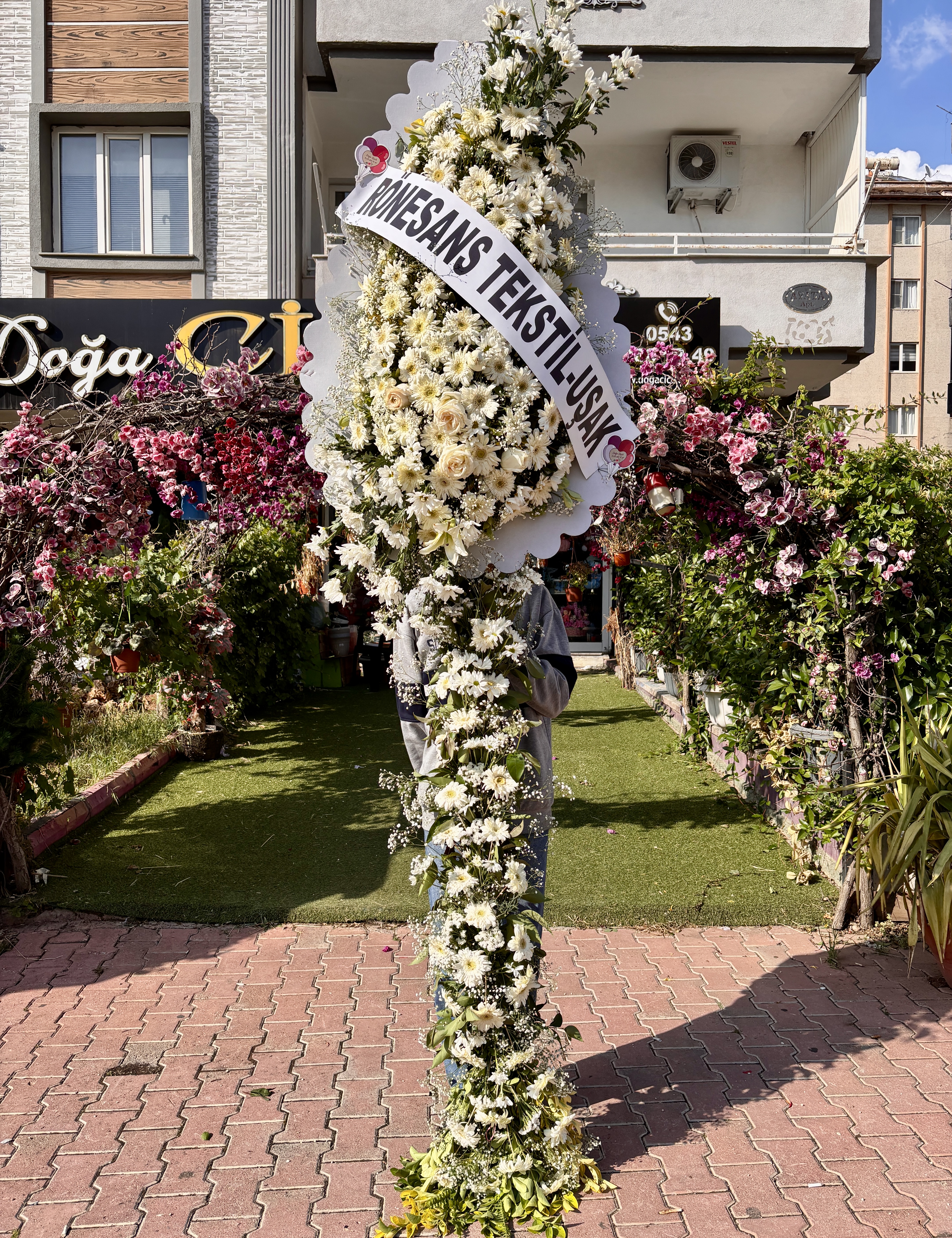 Beyaz canlı