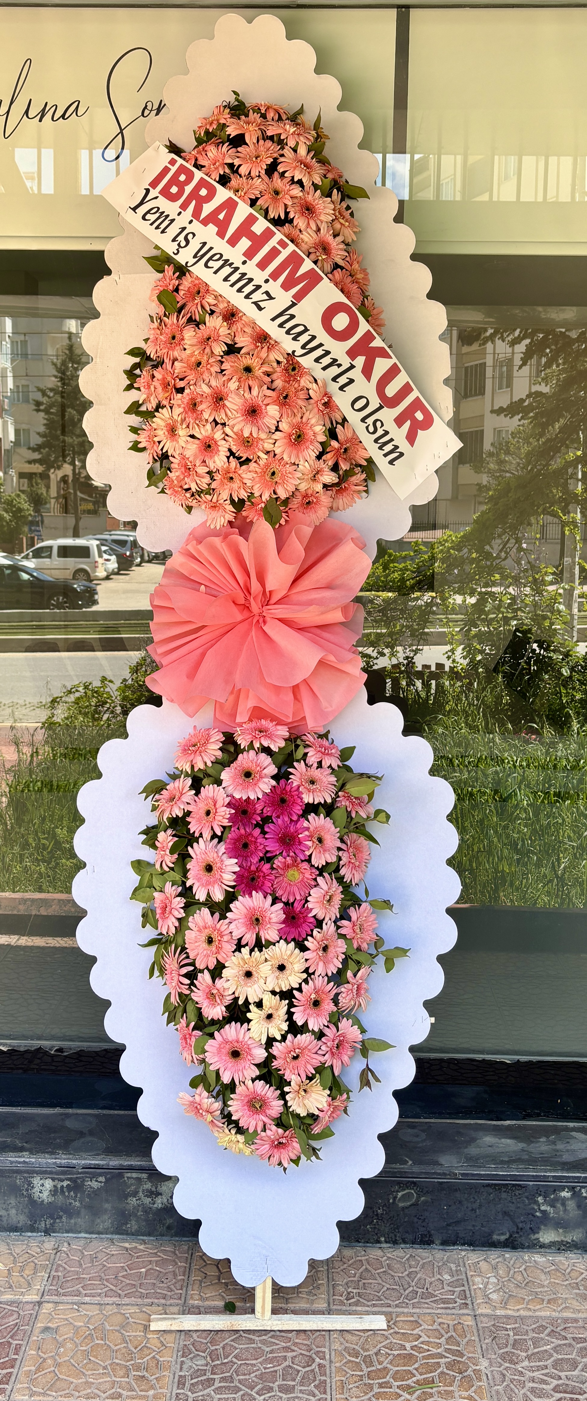 Pembe canlı